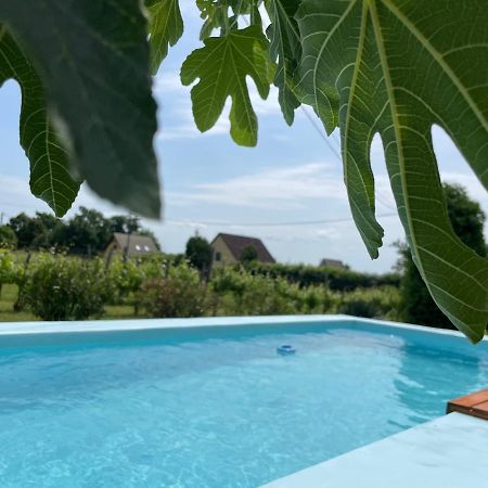 Fuege Vendeghaz Villa Lovas Eksteriør billede